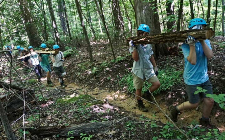 A group of students wearing gloves and helmets carry stumps along a trail in a wooded area. 